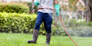tick-control-midland-park-nj